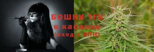 apvp Алексин