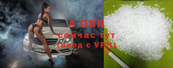 apvp Алексин
