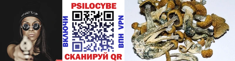 Галлюциногенные грибы мухоморы  дарнет шоп  Усинск 
